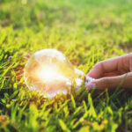 hand holding light bulb on green grass with sunset background. concept clean energy
